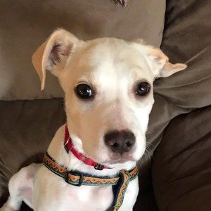 Meet your Posher, Robin